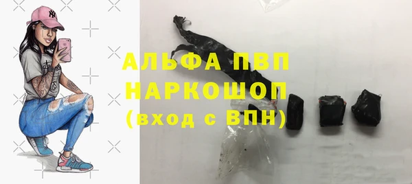 прущие грибы Армянск