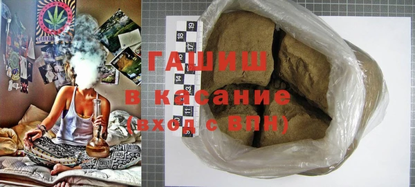 шишки Белокуриха
